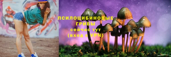 тгк Алексеевка