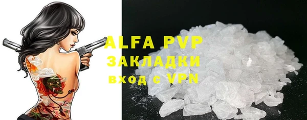 стафф Алзамай
