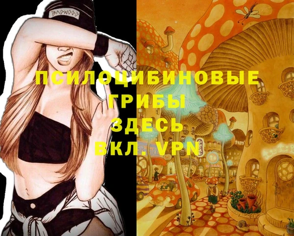 стафф Алзамай