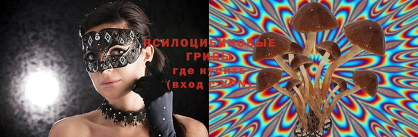 прущие грибы Нязепетровск