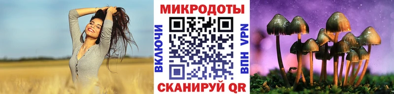 хочу наркоту  Елабуга  Галлюциногенные грибы мицелий 